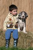 ENFANT ET CHIEN 573
